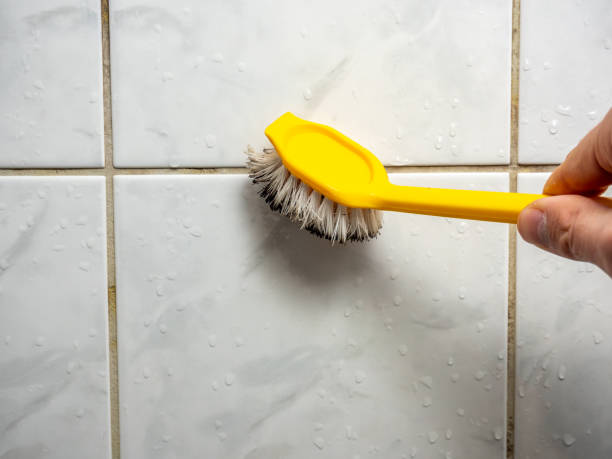 Mold Removal and Inspection in Quartz Hill, CA